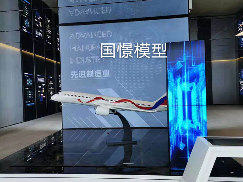 宜章县飞机模型