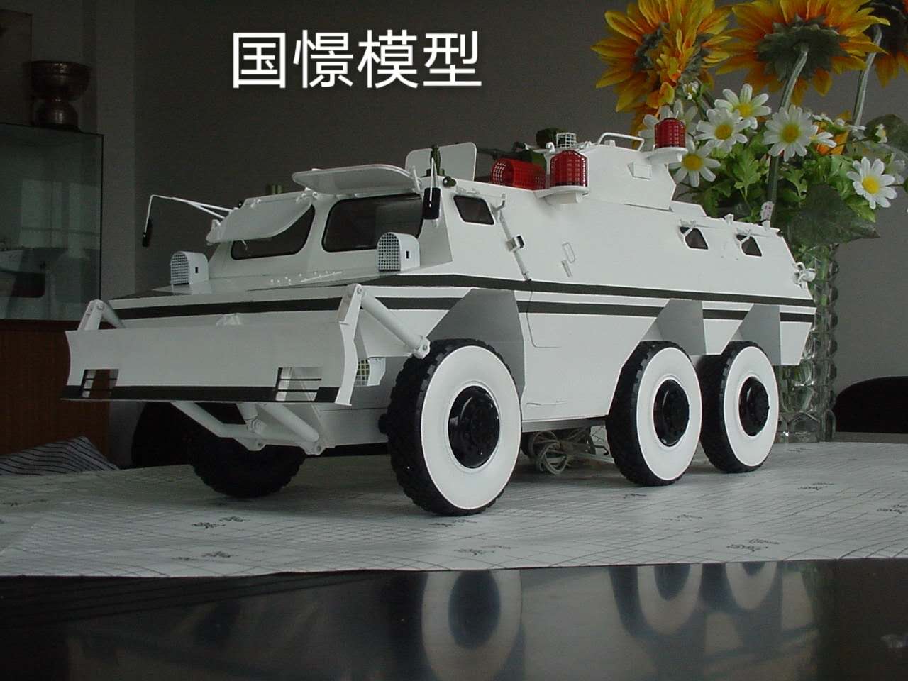 宜章县军事模型